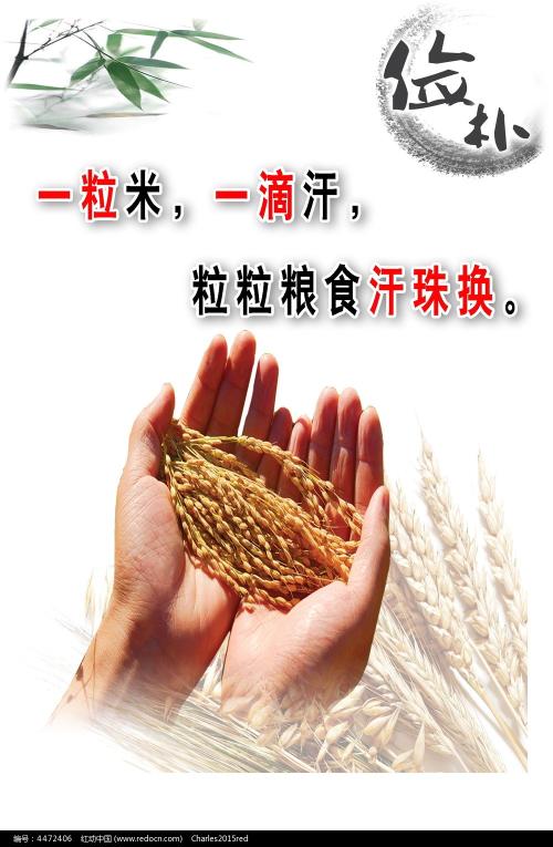 阳光海岸大学硕士学位证